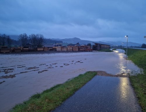 Unwettereinsätze + Hochwasser