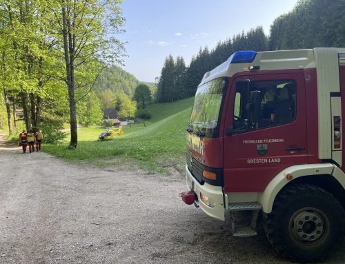 Tödlicher Forstunfall 