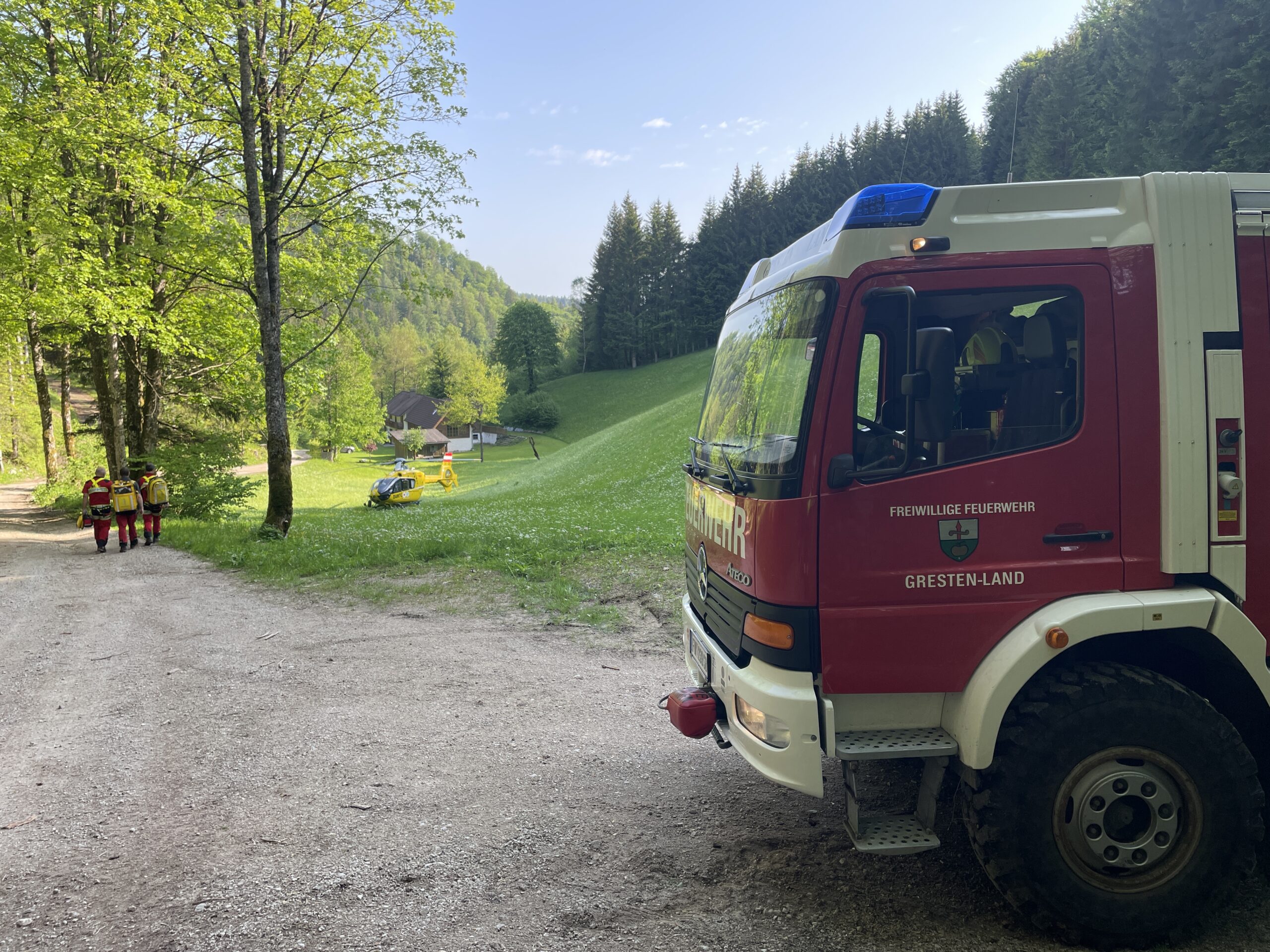 Tödlicher Forstunfall 
