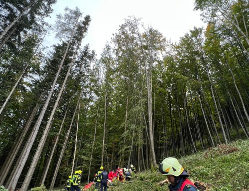 Forstunfall in Schadneramt