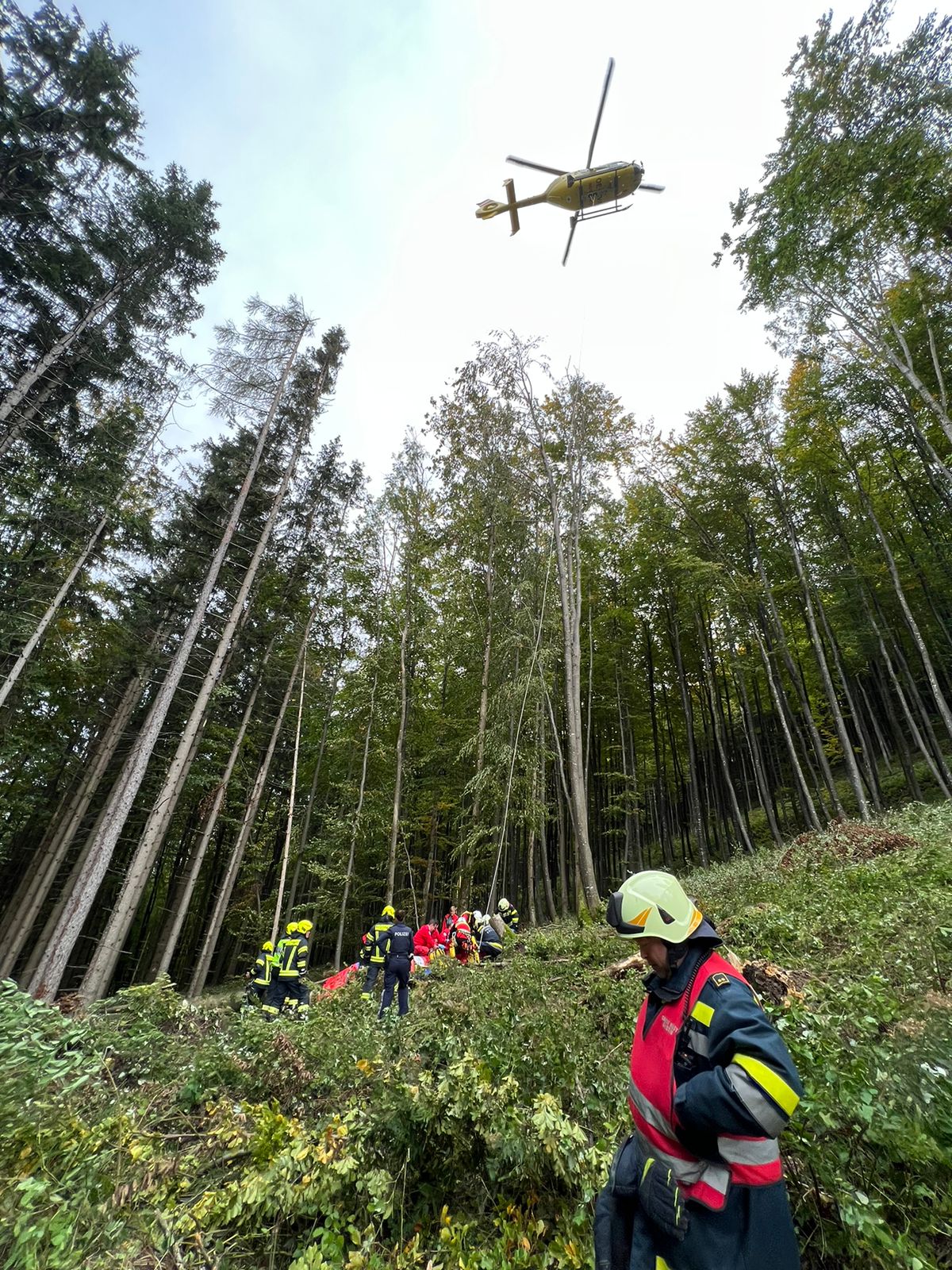 Forstunfall in Schadneramt