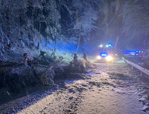 Mehrere Einsätze in der Ewixen
