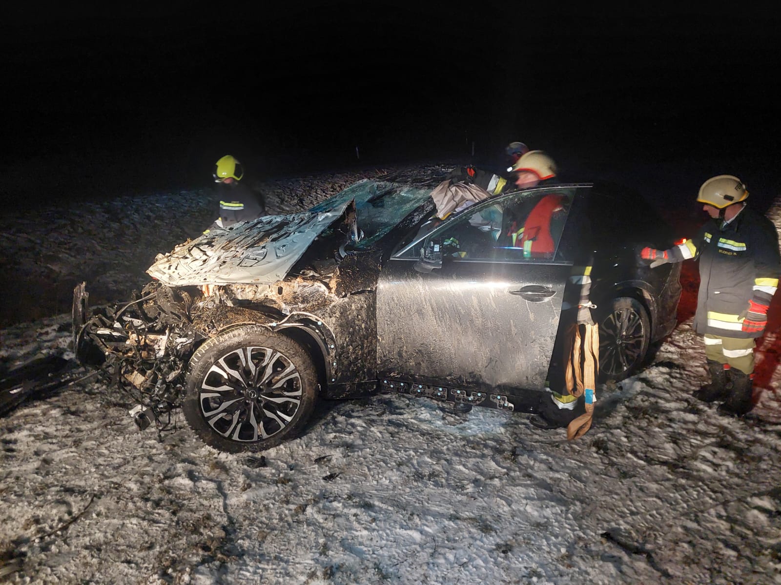 Glück im Unglück bei Wildunfall