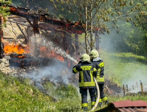 Bienenhütte mit 60.000 Bienen geht in Flammen auf – Feuerwehr verhindert Waldbrand