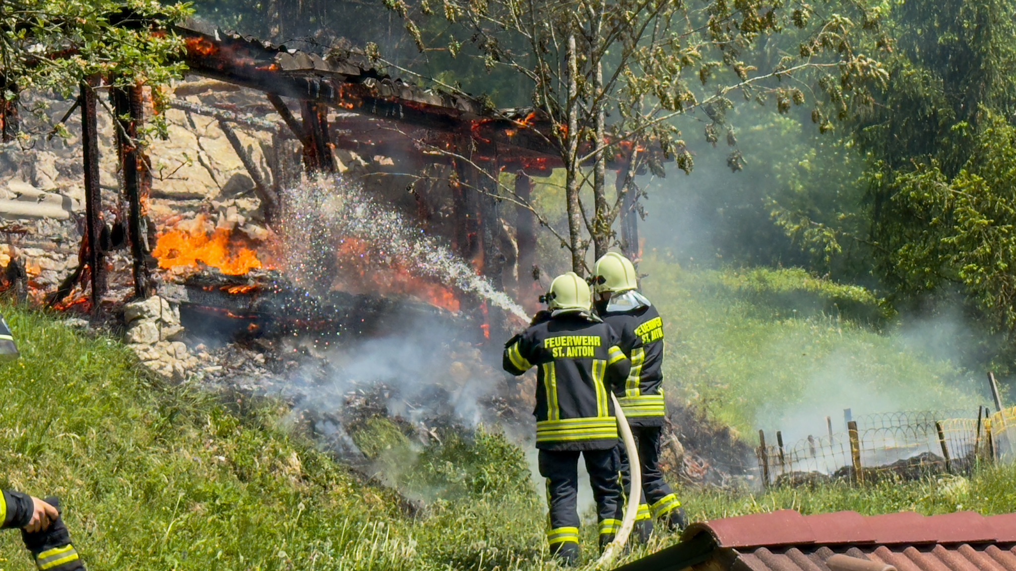 Bienenhütte mit 60.000 Bienen geht in Flammen auf – Feuerwehr verhindert Waldbrand