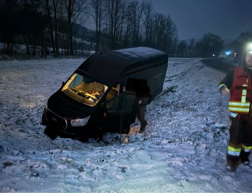 Lieferwagen auf Abwegen