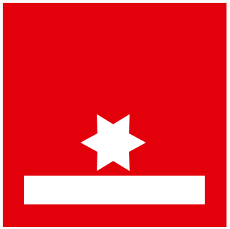 Dienstgrad LM
