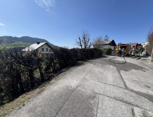 Heckenbrand im Himmelreich
