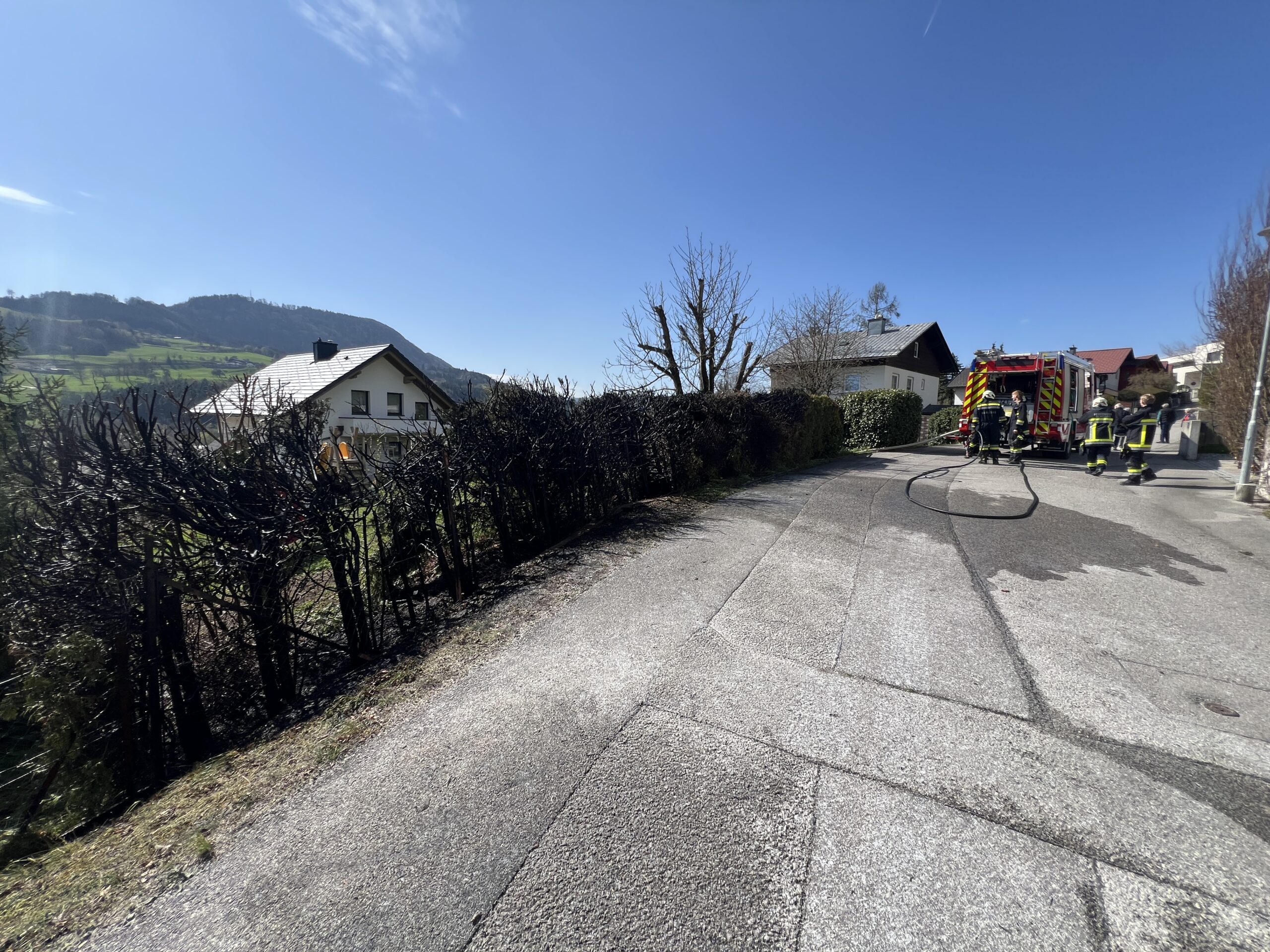 Heckenbrand im Himmelreich