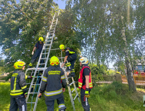 Menschenrettung aus großer Höhe