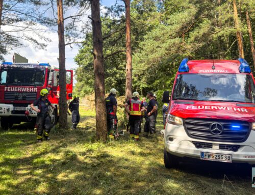 Menschenrettung in der Erlaufschlucht