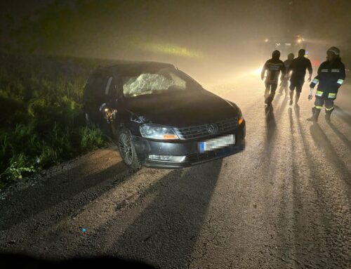 T1 Fahrzeugbergung/ Einsatz bei dichtem Nebel