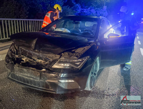 Fahrzeugbergung auf der B25 bei Purgstall