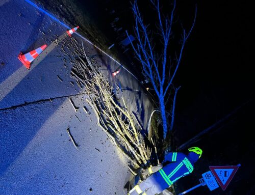 2 Sturmschäden an einem Wochenende