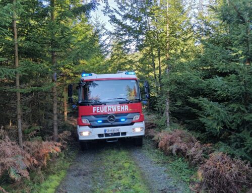 T2 – Menschenrettung nach Forstunfall