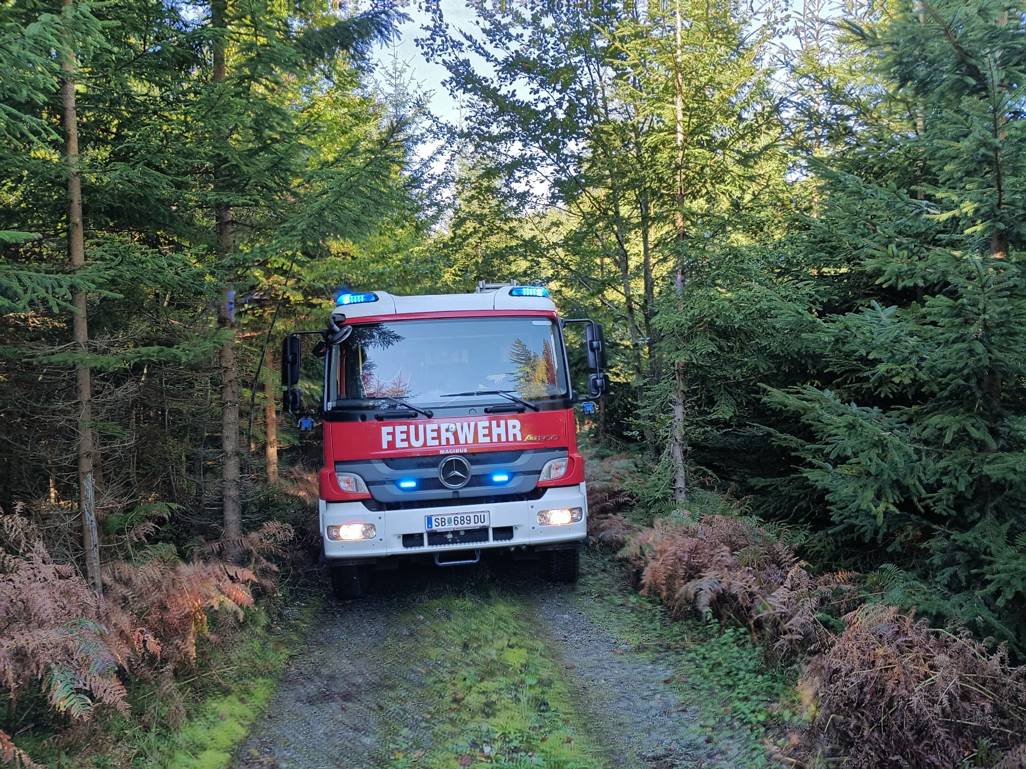 T2 – Menschenrettung nach Forstunfall