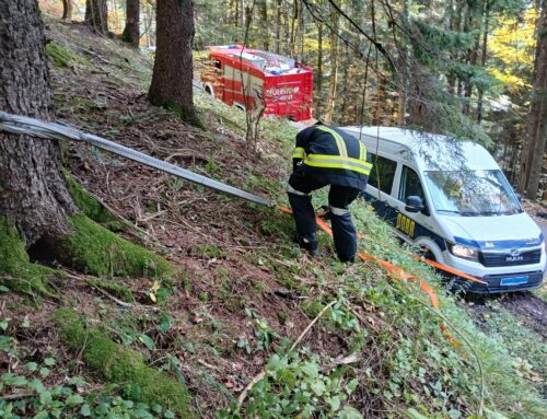 PKW-Bergung in Lunz am See