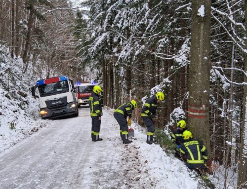 T1 – Bergung Großfahrzeug
