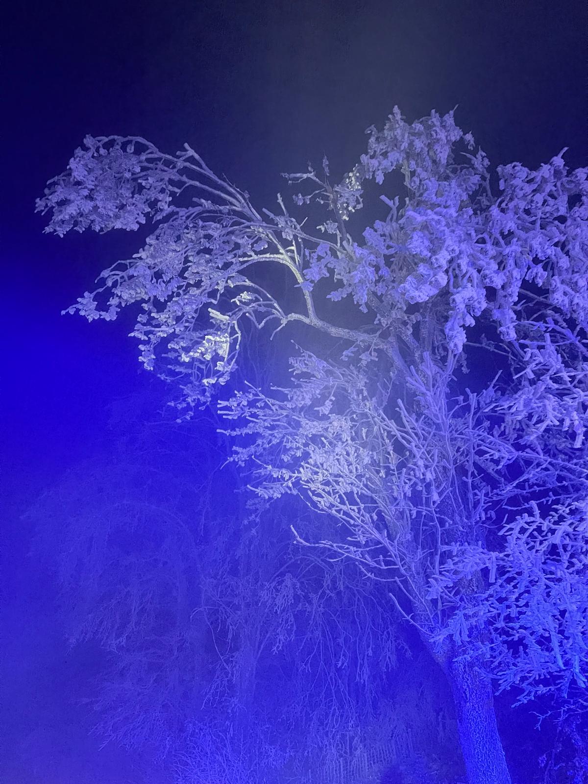 WhatsApp Image 2025-12-17 at 12.25.51