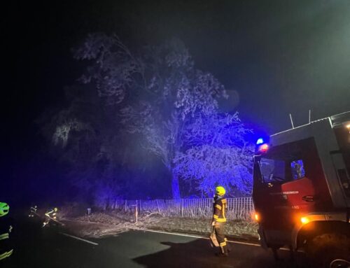 T1 – Baum über Straße