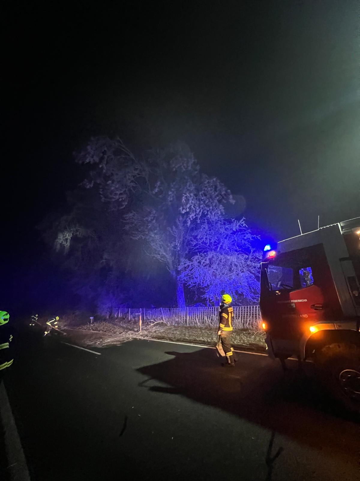 WhatsApp Image 2025-12-17 at 12.25.513