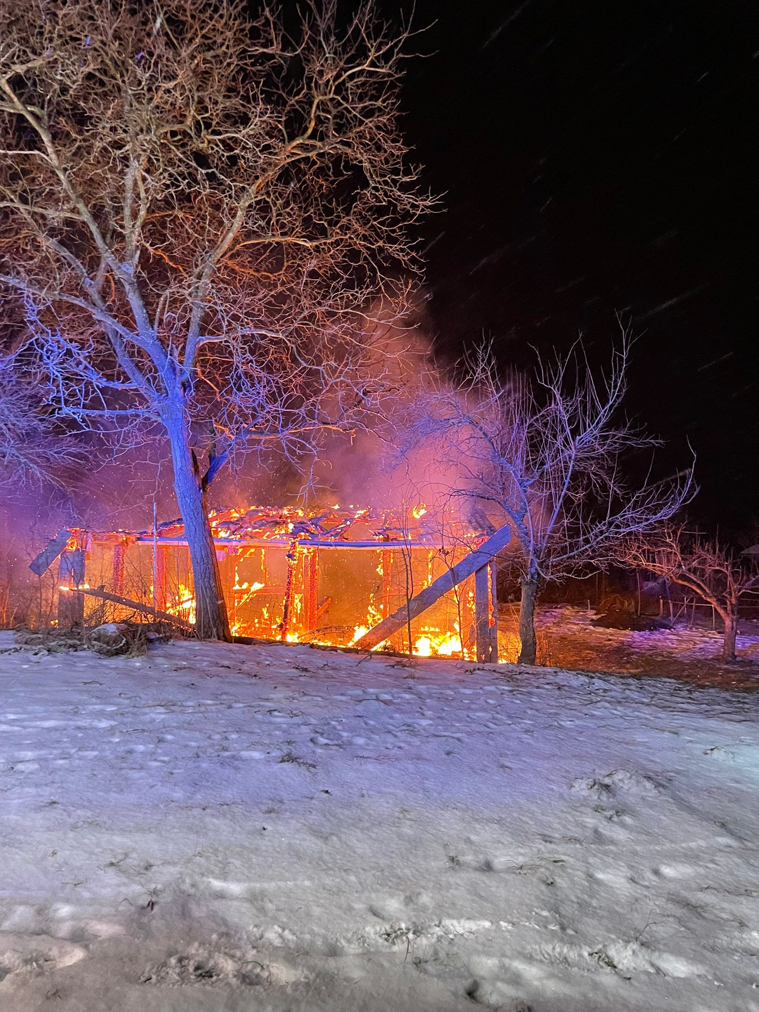 7eac34d0-3793-4ea9-8839-aad56f1193df