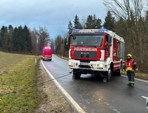 Fahrzeugbergung auf der L89 Fahrtrichtung Zarnsdorf