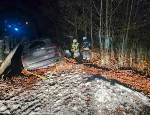 Technisch anspruchsvolle Fahrzeugbergung in Holzhüttenboden