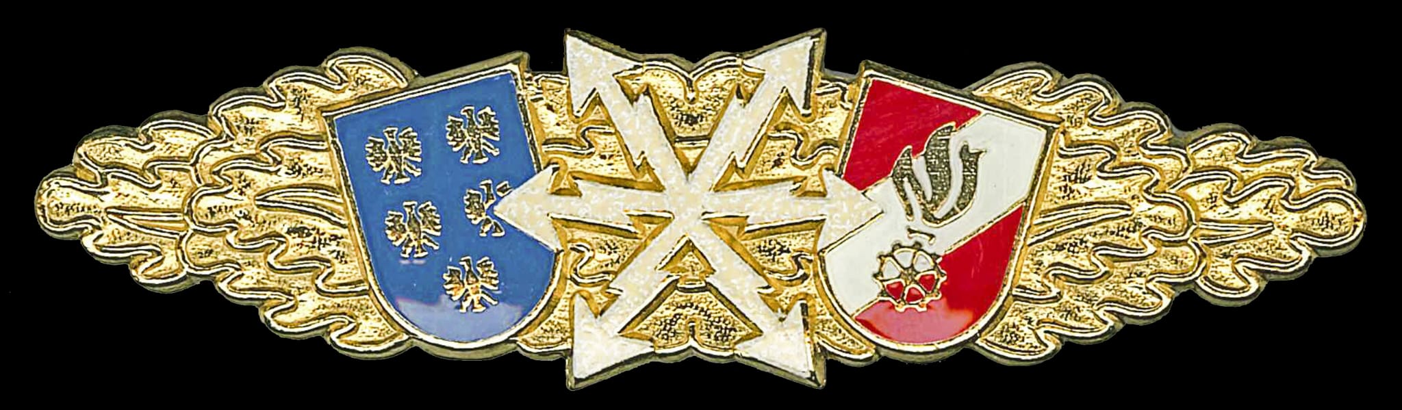 Funkleistungsabzeichen für Reisinger und Sturmer