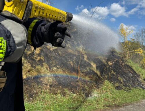 Vegetationsbrand in Puchenstuben