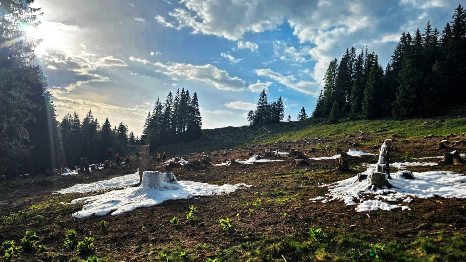 Vegetationsbrand auf der Brunnsteinalm