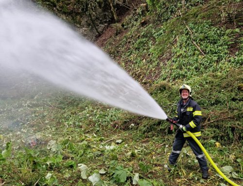 3. Übung: Entstehungsbrand im Wald