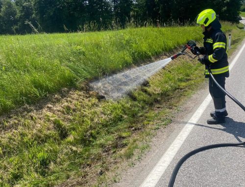Einsatz – Vegetationsbrand entlang der B22