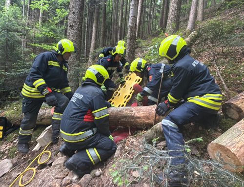 Personenrettung aus unwegsamen Gelände Zugsübung