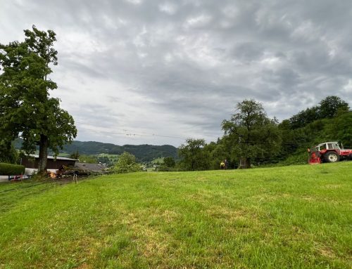 Unwettereinsätze