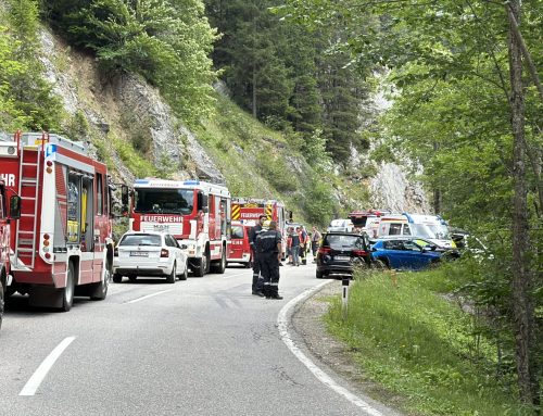Flugzeugabsturz in Neuhaus bei Lackenhof fordert Großaufgebot an Einsatzkräften