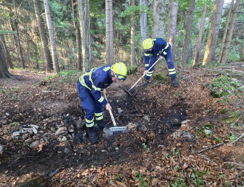 Kleinbrand im Freien – Lunz am See