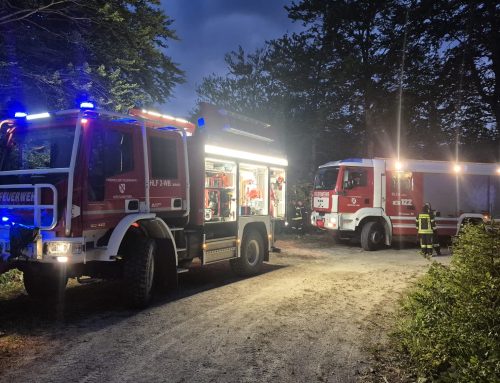 Waldbrand nach Blitzschlag