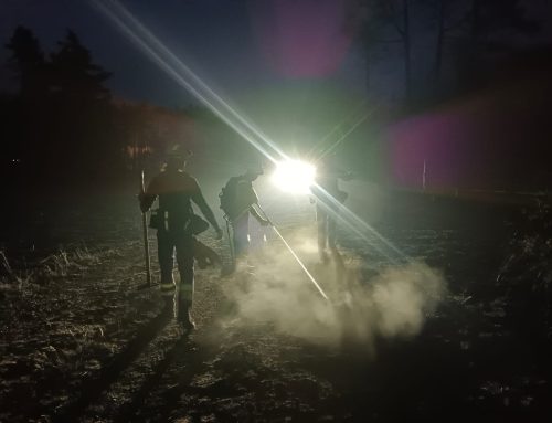 Unterstützung beim Waldbrand Föhrenwald (Bezirk Neunkirchen)