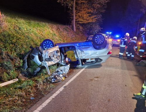 Menschenrettung nach schwerem Verkehrsunfall in Steinakirchen