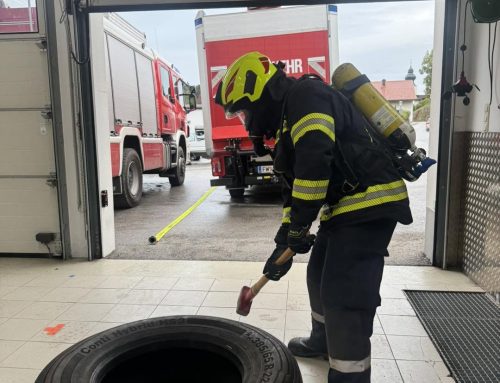 Finnentest bei der FF Reinsberg