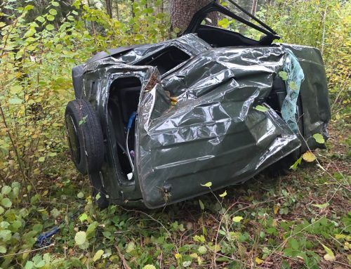 T2 – Menschenrettung nach Fahrzeugabsturz in Göstling